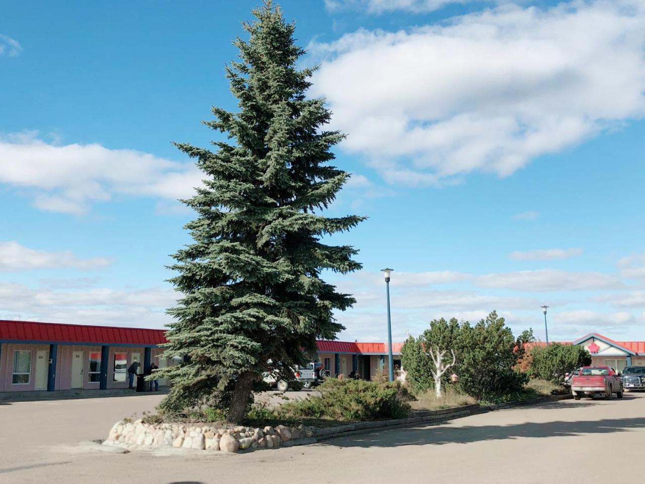 Canadian Motel North Battleford Dış mekan fotoğraf