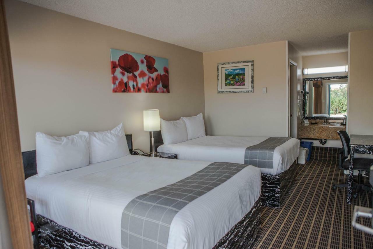 Canadian Motel North Battleford Dış mekan fotoğraf